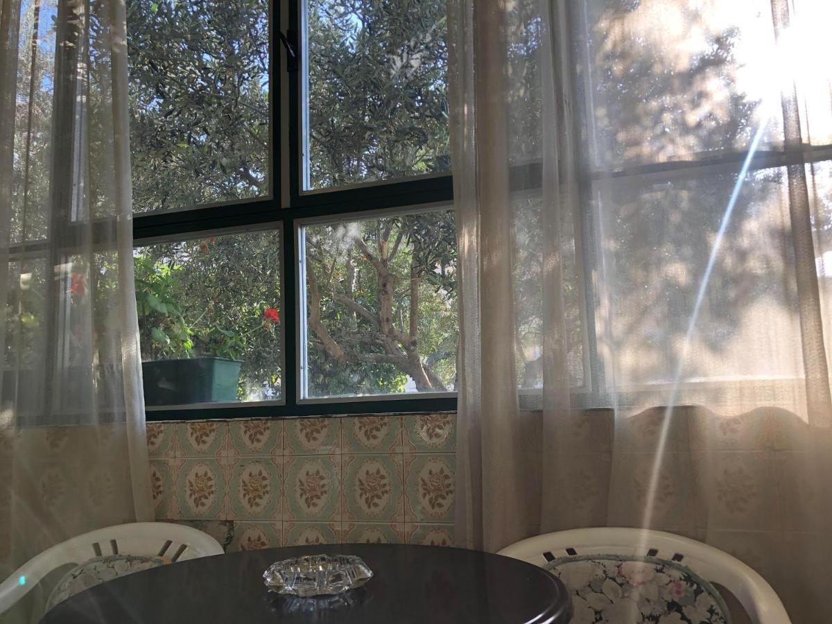 Garden Apartman Split Exteriér fotografie